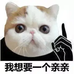 猫脸熊猫人表情包