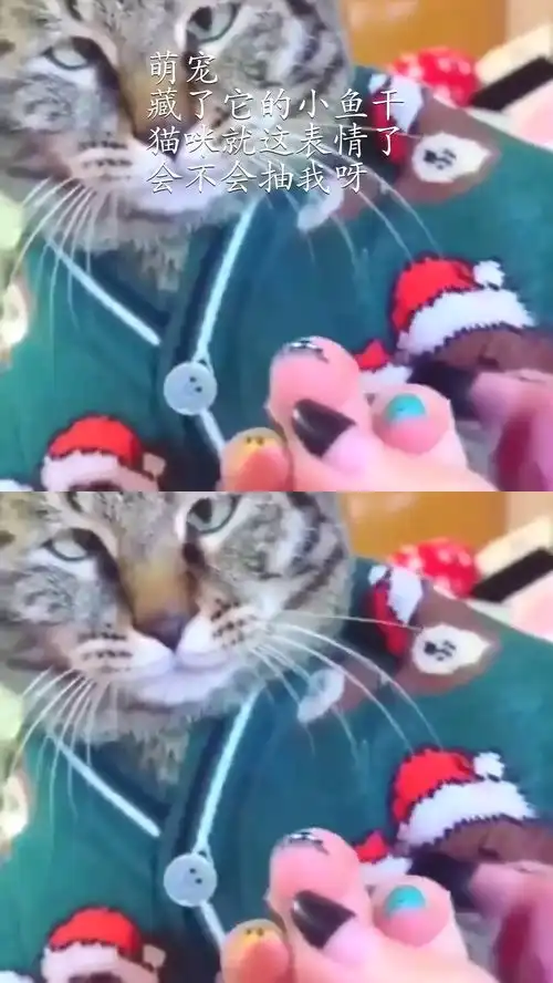 猫猫头表情包小鱼干