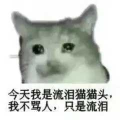 猫猫头表情包趣图