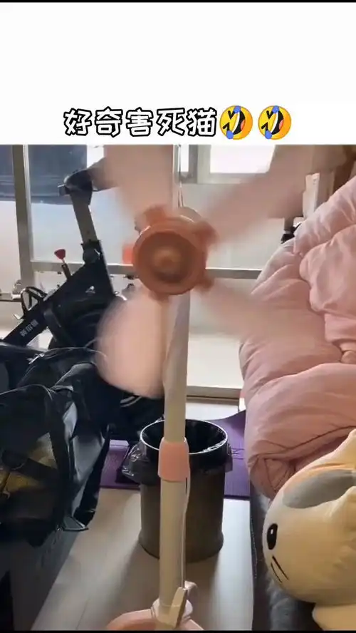 好奇害死猫真是说的一点都不假