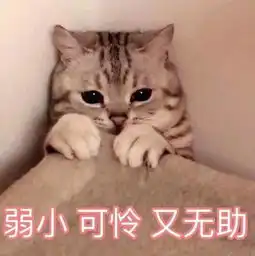 新闻