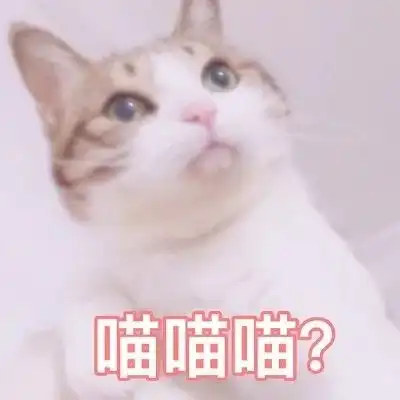 喵喵表情包