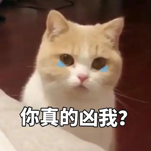 可爱动物表情包第一弹萌翻了