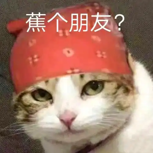 蕉个朋友丨第300期猫咪表情包