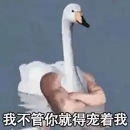 比心鸭子全套表情包分享