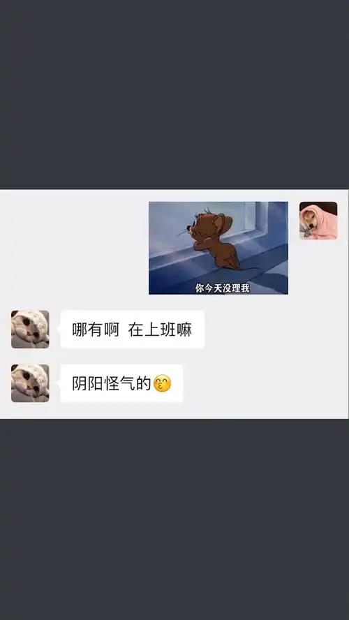 你今天没理我,一定是怕我打字太累沙雕操作表情包小可爱已上线聊天记录