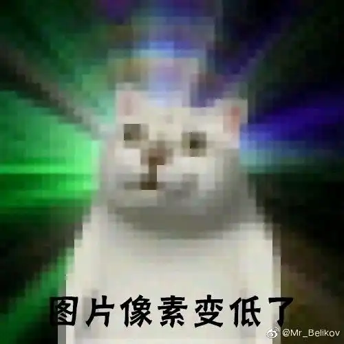 mur猫合集1