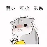 一位加拿大留学生的新冠自愈日记