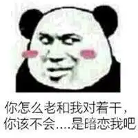 撩汉撩妹聊天专用表情包熊猫头帮你说出内心情愫