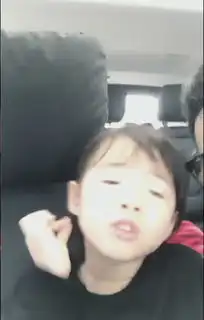 羊驼爱八卦