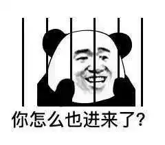这波硬核撩妹图,我存了