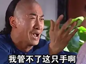 本王送给父皇的父亲节礼物