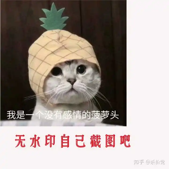 没有感情的菠萝头头像