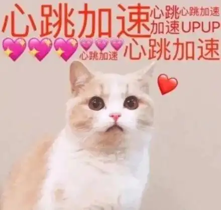 对象tostring后怎么转成对象给对象发语音学猫叫后,对象说晚上要弄哭我.........