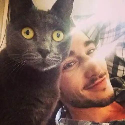 猫咪头像男生代表什么男