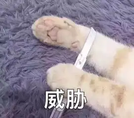 表情包丨挂了,晚安喔