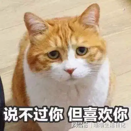 喵喵日记第十篇孩子那些司空见惯的事儿