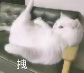 单身汪的情人节正确打开方式