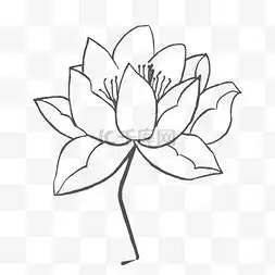荷花素描图片荷花素描图片素材免费下载千库网