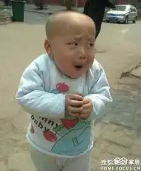 胖娃表情包水娃