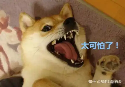 请问自考本汉语言文学的教材如何购买