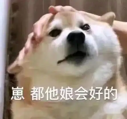 疫情期间的神操作,你家狗狗口罩带正确了吗