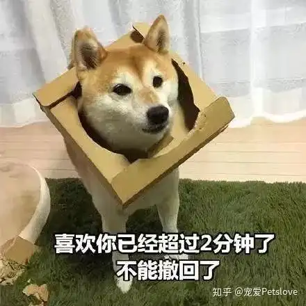 憋笑的表情包狗狗