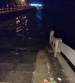 又一悲剧,海南16岁男孩就这么没了今年他刚考上高中