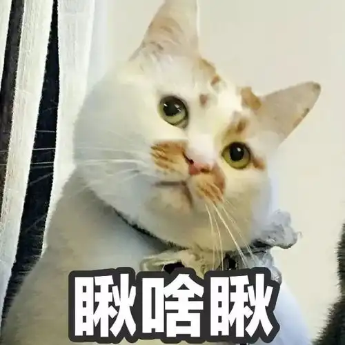 经济广播探索发现之天气为什么这么热