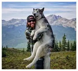 男子辞职卖掉家产,带爱犬环游世界,面对质疑他这样回应