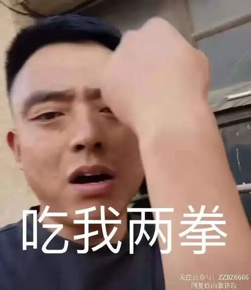 铁山靠表情包丨铁山靠同款战袍什么梗
