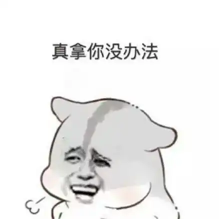 意境美图同人动物键盘壁纸大海搞笑g堆糖,美好生活研究所