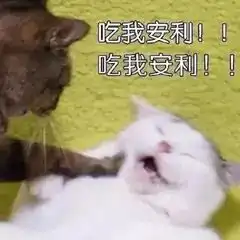 嘿这些是你不小心丢失的app吗