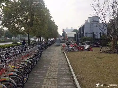 绿地缤纷城再开一家coco奶茶811路公交终点站调整宝安公路公交专用道亮灯摩拜单车运维狗狗找主人