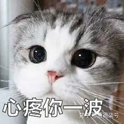 如何更好的进入到新媒体行业中