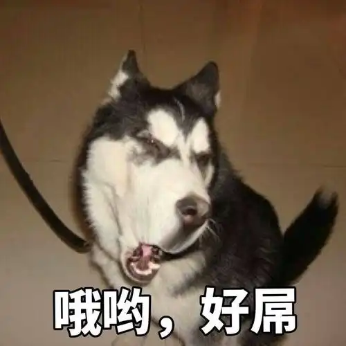 有哪些自带嘲讽buff的头像