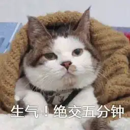 给粉丝送ysl逛跳蚤市场主动追男友放飞自我的泫雅太圈粉