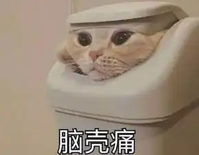 猫咪头像男生代表什么猫