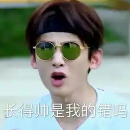 你是钢铁直男表情包刘昊