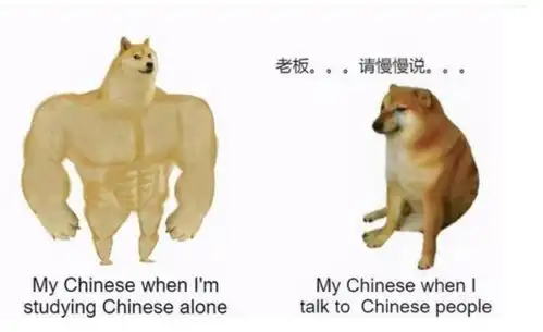 外国人用梗图吐槽中文,难度指数5颗星,网友看后心生怜悯