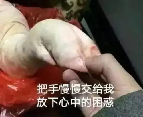 表情包胖子图片大全指甲