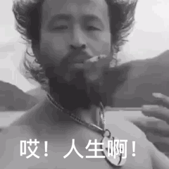 新年伊始让我们来回顾2020年的10款狠货车型