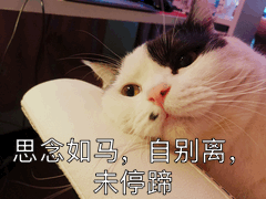 我想你了表情包20种说想你的表情方法,很有诗意,情侣必备