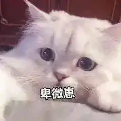 听说点开这篇推送的人驾校考试都通过了