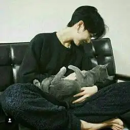 男生抱猫咪头像图片跳楼