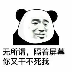 熊猫头表情包i输完密码就是自己人了