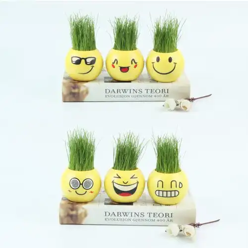 可爱表情迷你盆栽学生礼品儿童新奇玩具多肉花盆室内四季种植植物