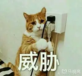 请问在普吉岛是找国内一日游合适还是在岛上拼船好玩
