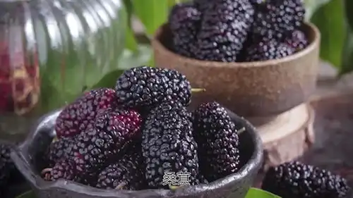 腰酸背痛就是肾虚吗肾虚一般五个表现,如果有就要保养肾了