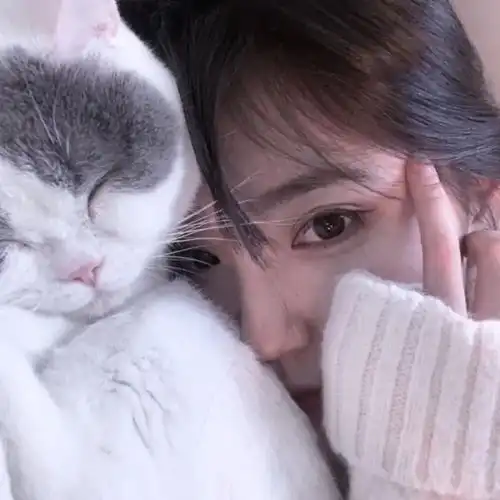 猫头像男生专用版高冷女
